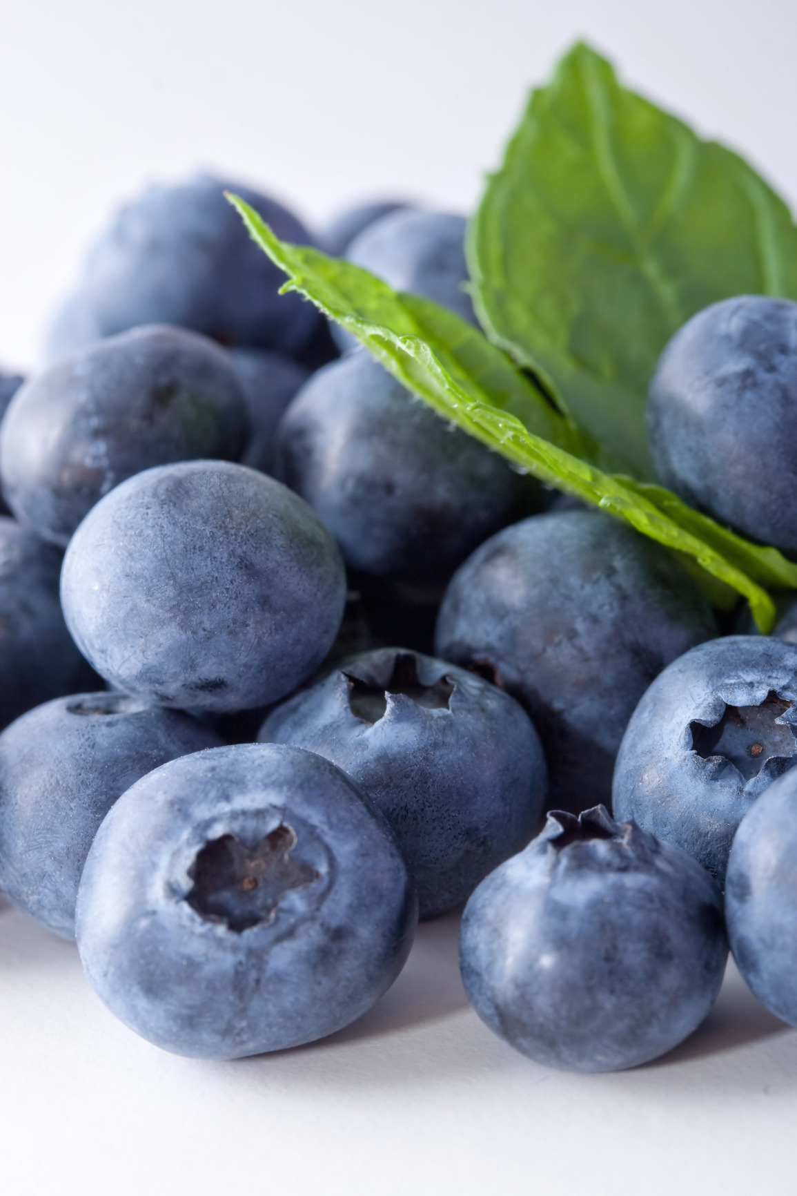 great-reasons-to-eat-blueberries http://ift.tt/1auvWpW