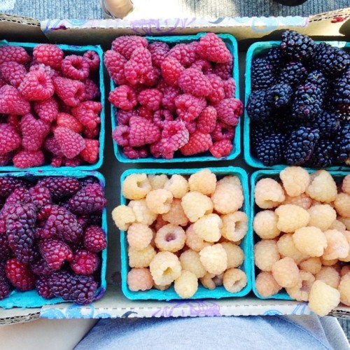 fitwithoutfat:

Fresh organic berries! (at Renton Farmers Market)