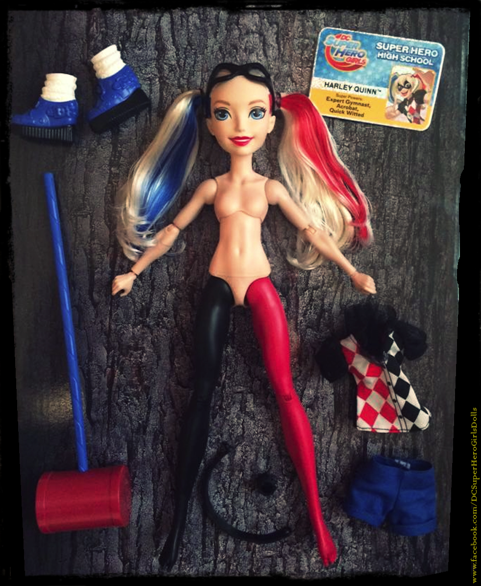 What comes inside this DC Super Hero Girls box?An articulated Harley Quinn doll, a blackmask, a top, blue shorts, a black belt, a bracelet, a mallet, a pair of shoes, two black rubber bands holding her hair in pigtails and a student ID. Tights are painted. No brush or stand included. Dolls can stand on their own!