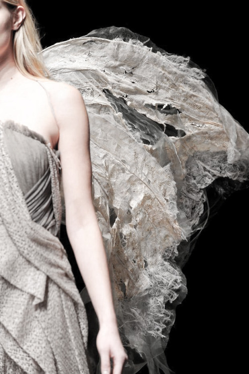 stopdropandvogue:</p> <p>A detail of a decomposing moth wing at Yiqing Yin Haute Couture Spring/Summer 2014<br /> 