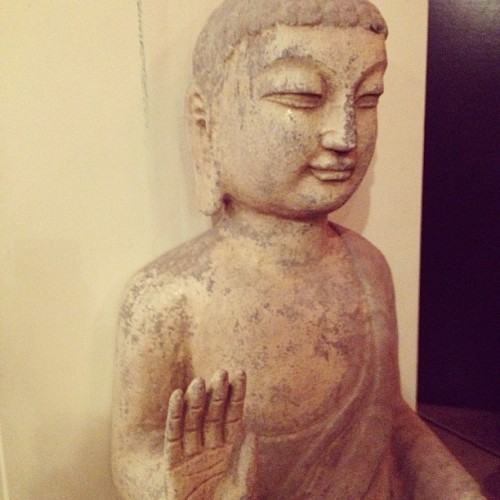 #buddha #zen #serenity #tranquil #materialculture #love #instagood #me #tbt #cute #photooftheday #instamod #iphonesia #picoftheday #igers #tweegram #beautiful #instadaily #instagramhub #follow #iphoneonly #igdaily #bestoftheday