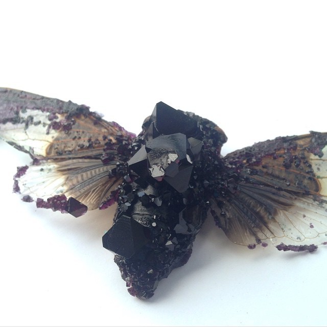 oneman-wolfpackk:

vin-d-opium:

tylerthrasherart:

 crystalized cicada

HOW?

it’s body never properly decomposed, stayed deep down in the earth underneath lots of pressure for years. that’s HOW and it’s pretty cool


This is how I want to die