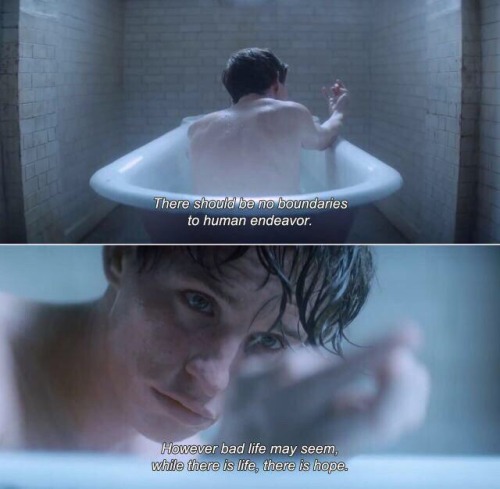 distractful:The Theory of Everything (2014)
