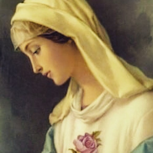 catholicloveblog:

“My dearly beloved children, never lose confidence and hope. Beneath the great and vast clamor which evil is managing to spread everywhere, many sprouts of goodness and holiness are budding forth in silence and hiddenness. These precious sprouts of new life are being daily cultivated in the secret garden of my Immaculate Heart.”–Our Lady to Fr. Stefano Gobbi~ #catholic #catholicism #catholiclove #catholicchurch #catholicstrong #romancatholic #avemaria #frgobbi #marianmovementofpriests #jesus #jesuschrist #mary #motherofjesus #mothermary #blessedmother #blessedvirgin #christian #christianity #choosejesus #holiness #virtue #faith #instalove #instapray #instafaith #instajesus #instaquote #instacatholic #instachristian