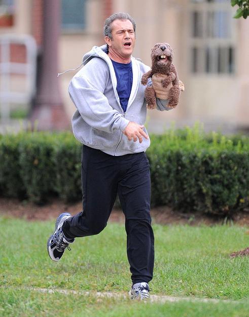 sosirius:

Mel Gibson is jogging with a beaver hand puppet. Your argument is invalid.

Where do I get one?