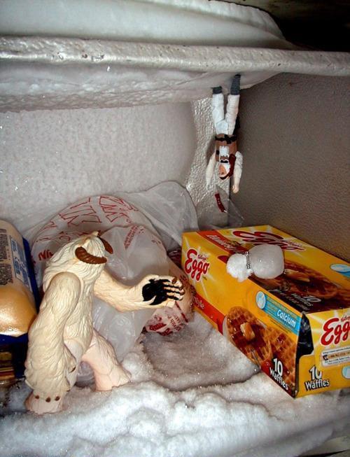 theridecalledlife:

Just having a little fun in the freezer
