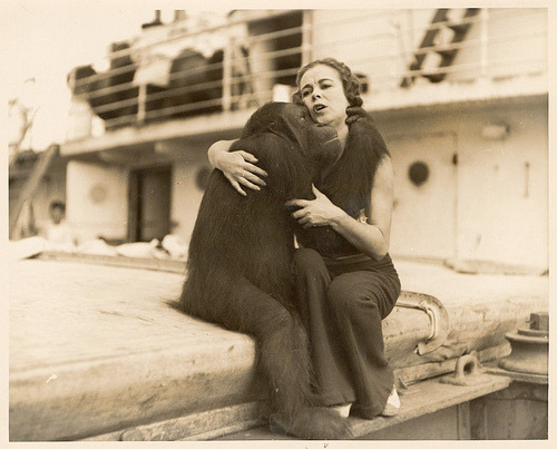 Date unknown
A woman consoles a orangutan on a cruise ship.
(via stickchimp)