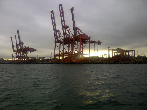 Container cranes, Port of Vancouver