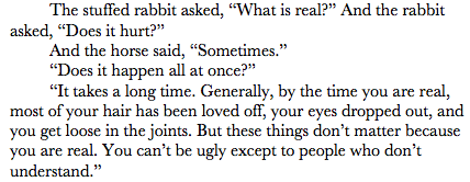 
The Velveteen Rabbit as quoted in Beginners (2011)
