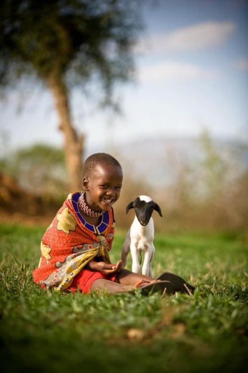cultural-infusion:

In Kenya, Namanyak, age 6, plays with a lamb, made possible through the World Vision Gift Catalog.Give a Gift today: http://bit.ly/wvgiftcatalog
