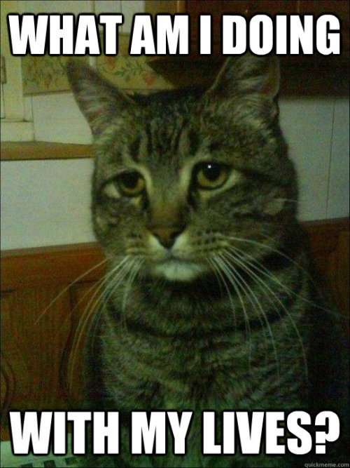 pleatedjeans:depressed cat via