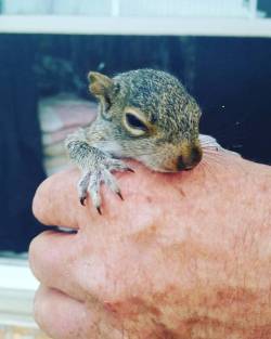 Grandaddy caught a squirrel 😀
