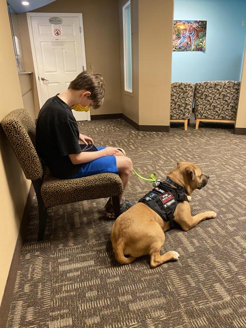 instructor144:  doggos-with-jobs:My son and his PTSD SDiT, Mowgli, at the dentist this morning. GOOD DOG.
