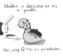 nixieseal:  positivelycurious:  SHELDON IS FREAKIN ADORABLE AND I WANT TO ADOPT HIM.  SHELDON! AAAAAUGH   Fucking ADORABLE!!!