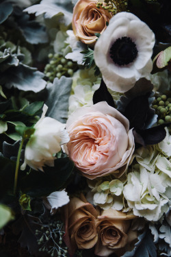 fawndeviney:  Fawn DeViney for Dogwood Floral  