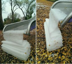 stunningpicture:  In Colorado, snow during the month of May can lead to some weird things. 