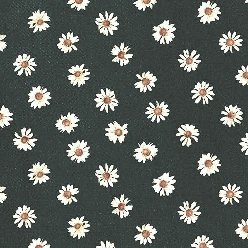 daisy flowers iphone wallpaper | Tumblr