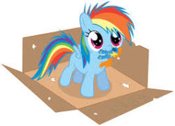 hurricanedash:  Filly dash Rp: (Can be nsfw if you want) Dashie: *in a box with a little wonderbolt toy in my mouth, the box says free*  *walking by and sees the box*HM?*he walks up to it*