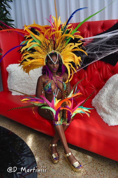 Miami carnival reloaded
