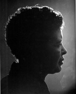 theodorafitzgerald:  Billie Holiday, New York, 1955; photographed by Herman Leonard.