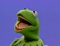 perryplat:  kermit the frog is a beautiful yet terrifying individual 