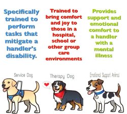 gooddogautismcompanions:  Ever wonder the difference between a service dog, therapy dog &amp; an emotional support dog? This graphic explains. Good Dog Autism Companions are service dogs that help mediate the disability of autism. (Credit/author unknown)