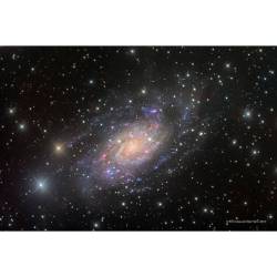 NGC 2403 in Camelopardalis #nasa #apod #ngc2403 #islanduniverse #constellation #camelopardalis #spiralgalaxy #universe #intergalactic #space #science #astronomy