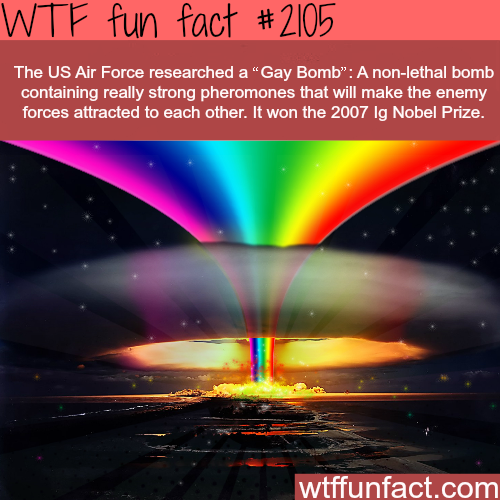 Gay Fact 64