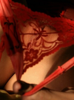 mrmeeto0:  #redpanties #lacey #seethrough #sexylingerie #pussy #pantyfetish #beautiful #closeup  
