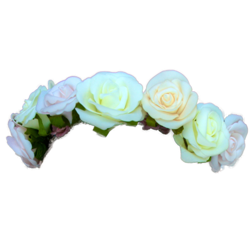 flower crown clipart tumblr - photo #9