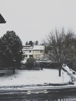 lasbien:  snow, Germany 