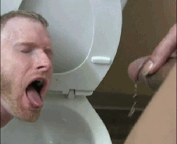 faggywhore:  Pissin in the face of every whitey