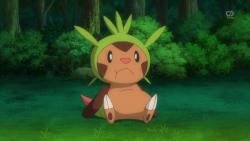 clemontic:  Next week: A fat Chespin, Clemont…. uuuh…. and Chespin activates Overgrow. 