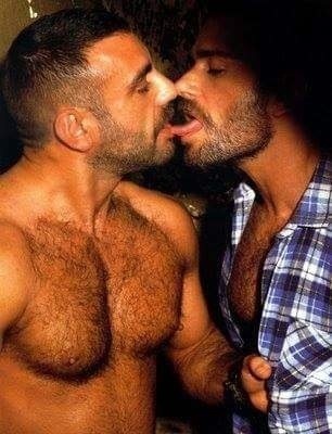Wild gay bear couple