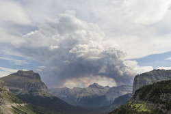sleg:    Glacier National Park Fire  - 2015 