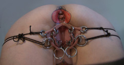 Inner and outer labia well pierced.