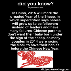 did-you-kno:  In China, 2015 will mark the dreaded Year of the Sheep, in which superstition says babies will grow up to be followers instead of leaders and have many failures. Chinese parents don’t want their baby born under the sign of the sheep, so