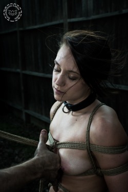 tiedupcat:  Rope bliss. Tie by @secondfloor-fet. Photography by @gaping-lotus.