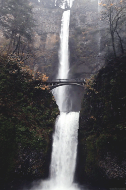 miritamoku:  wasifio:  Multnomah Falls in Oregon   nature posts here ✿ 