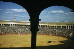 natgeofound:  A bullfighter waves red cape in front of a bull and a crowded stadium in Seville, Spain, April 1951.Photograph by Luis Marden, National Geographic