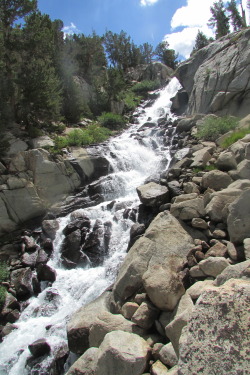 letsbeforestfriends:  A waterfall  in the Eastern Sierra Nevada Mountians, California. (by letsbeforestfriends)