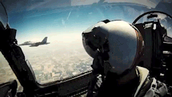 theworldairforce:  2014 Navy Hornet Ball  Individual Sections from large Hornet Ball gifset