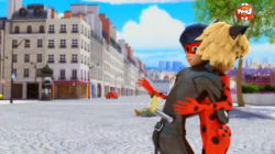 tei-gen:  THE FIRST TIME LADYBUGâ€™S THROWN HERSELF IN SERIOUS HARMS WAY IMMEDIATELY AFTER SHE PULLS CHAT NOIR OUT THE WAY AND HE CANâ€™T HANDLE IT AND HE DOESNâ€™T EVEN FIST BUMP HE GOES STRAIGHT TO THE THANK GOD YOUâ€™RE OKAY HUG AND LIKE H E L L LADYBU