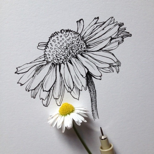 flower draw | Tumblr