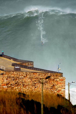 fupa-slam:  the—atomic—punk:  highenoughtoseethesea:  Garrett McNamara surfing a 100ft wave at Praia do Norte, Nazaré, Portugal Photo: Tó Mané  That’s crazy  man i got caught in a 10 footer in Laguna and I almost shit myself this is fucking