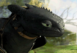 Who doesn&rsquo;t want a pet dragon after seeing this movie
