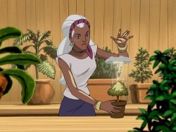 No, Storm. Stop it. That is not how you grow a bonsai.