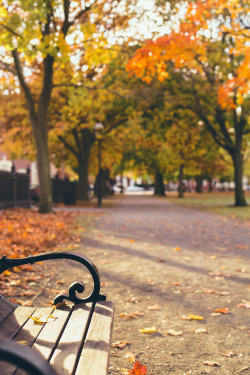 northskyphotography:  Autumn in the Park by North Sky Photography