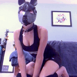 bdsmpetplay:  puplaika: #tfw the wags are too much! @puplaika you are one of my favorite pups :D  cutest pup out there