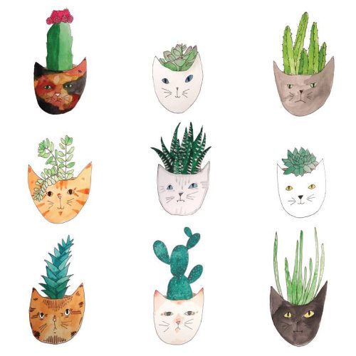 Image result for cat succulant tumblr